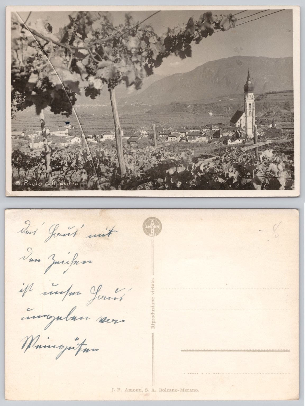 RPPC St. Pauls Appiano Bolzano Merano Vineyard Alps Church Postcard