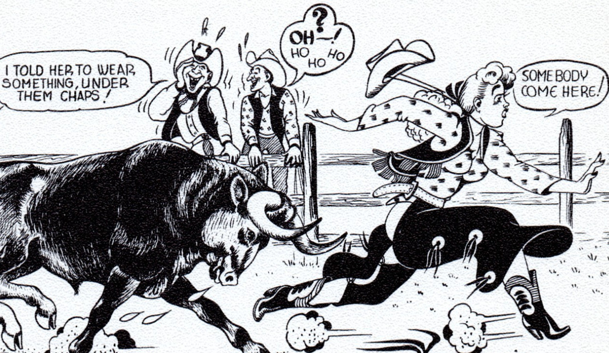 1949 Cowgirl Told Her to Wear something Under Chaps Valentine\'s Day Postcard