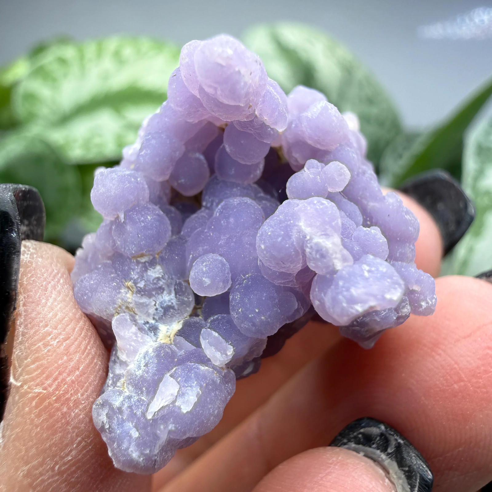 Grape Agate (var. Amethyst)- Mamuju Regency, West Sulawesi Province, Indonesia