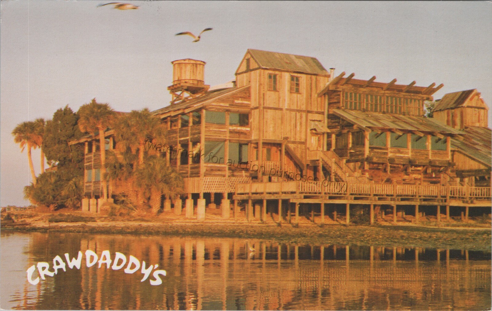 Tampa, FL: Crawdaddy's Cabaret Lounge - Vintage Florida Restaurant Postcard