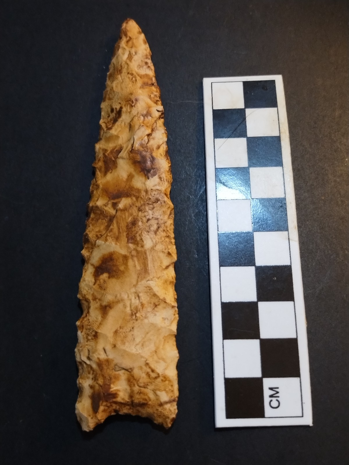 Exceptional Paleo Lanceolate Point Alabama Coastal Chert 5\