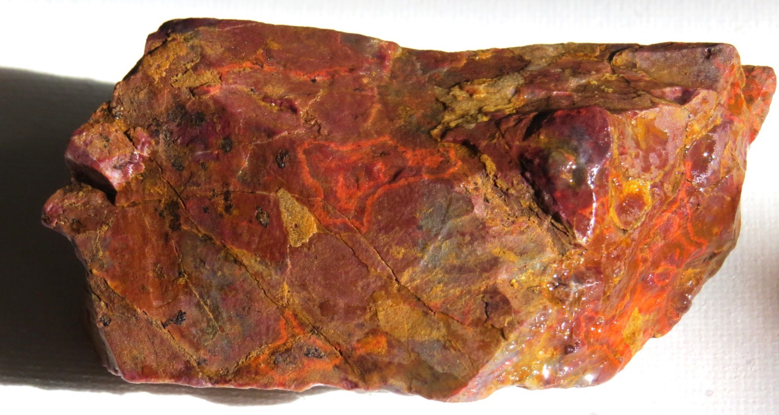 MORGAN HILL POPPY JASPER STONE 5.3 OZ. ROUGH