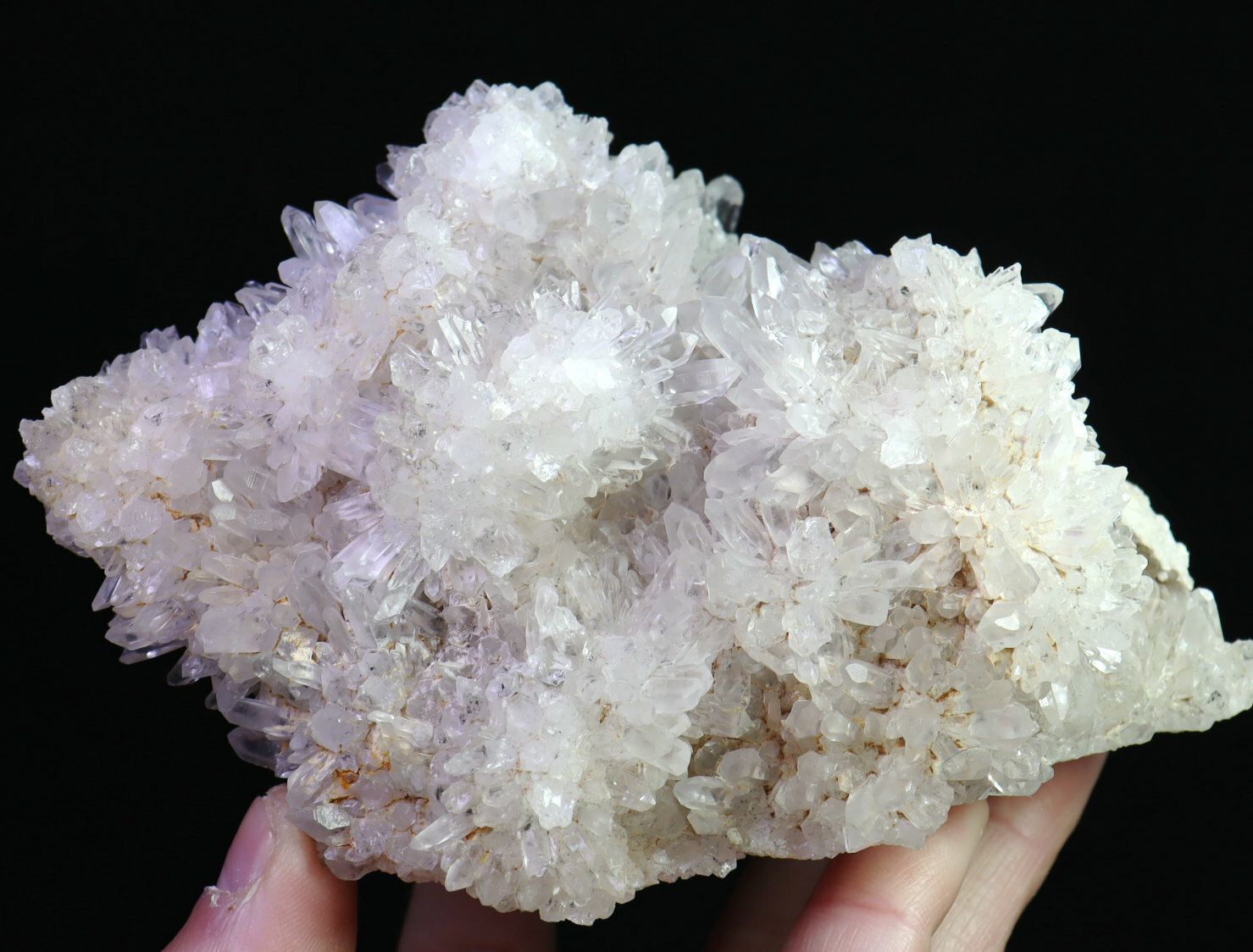 1.85lb Natural Beautiful White Chrysanthemum QUARTZ Crystal Cluster Specimen
