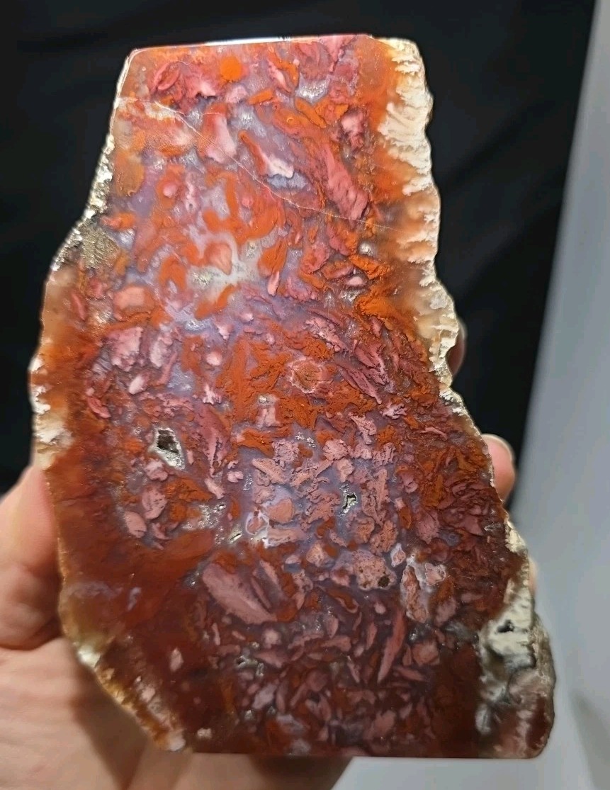 RT Rocks Rare Confetti Agate, Mexico, Large Polished End Piece Display 