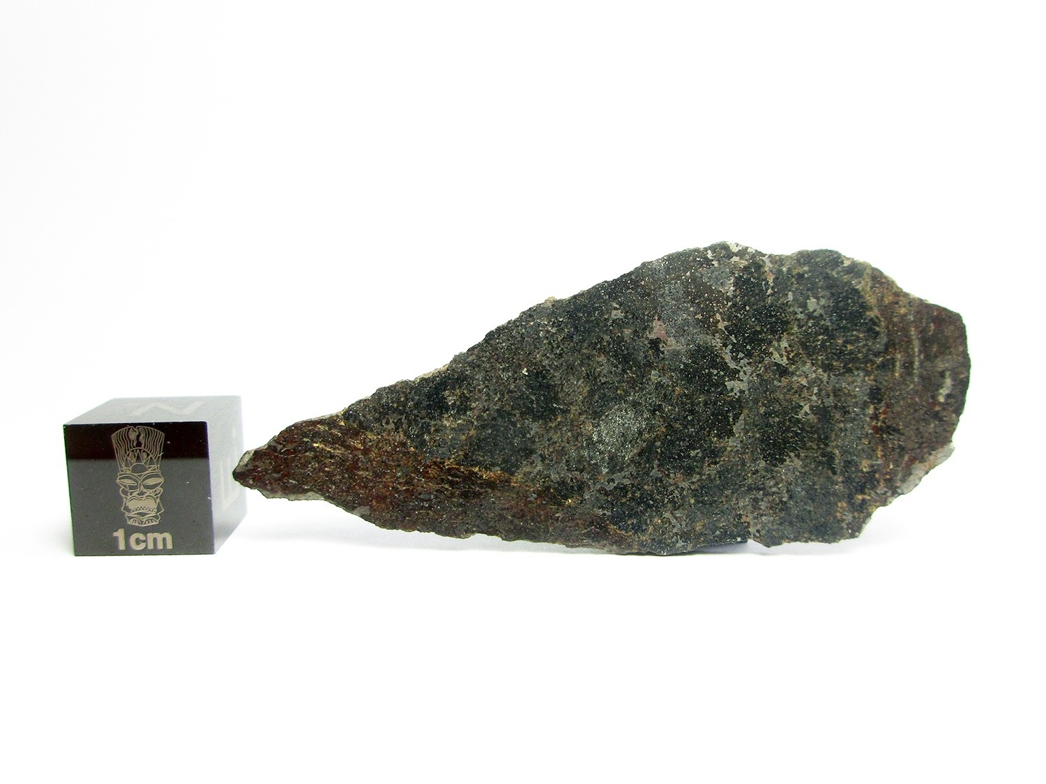 NWA 15893 EH6 4.84g Slice of an Enstatite Chondrite Meteorite 