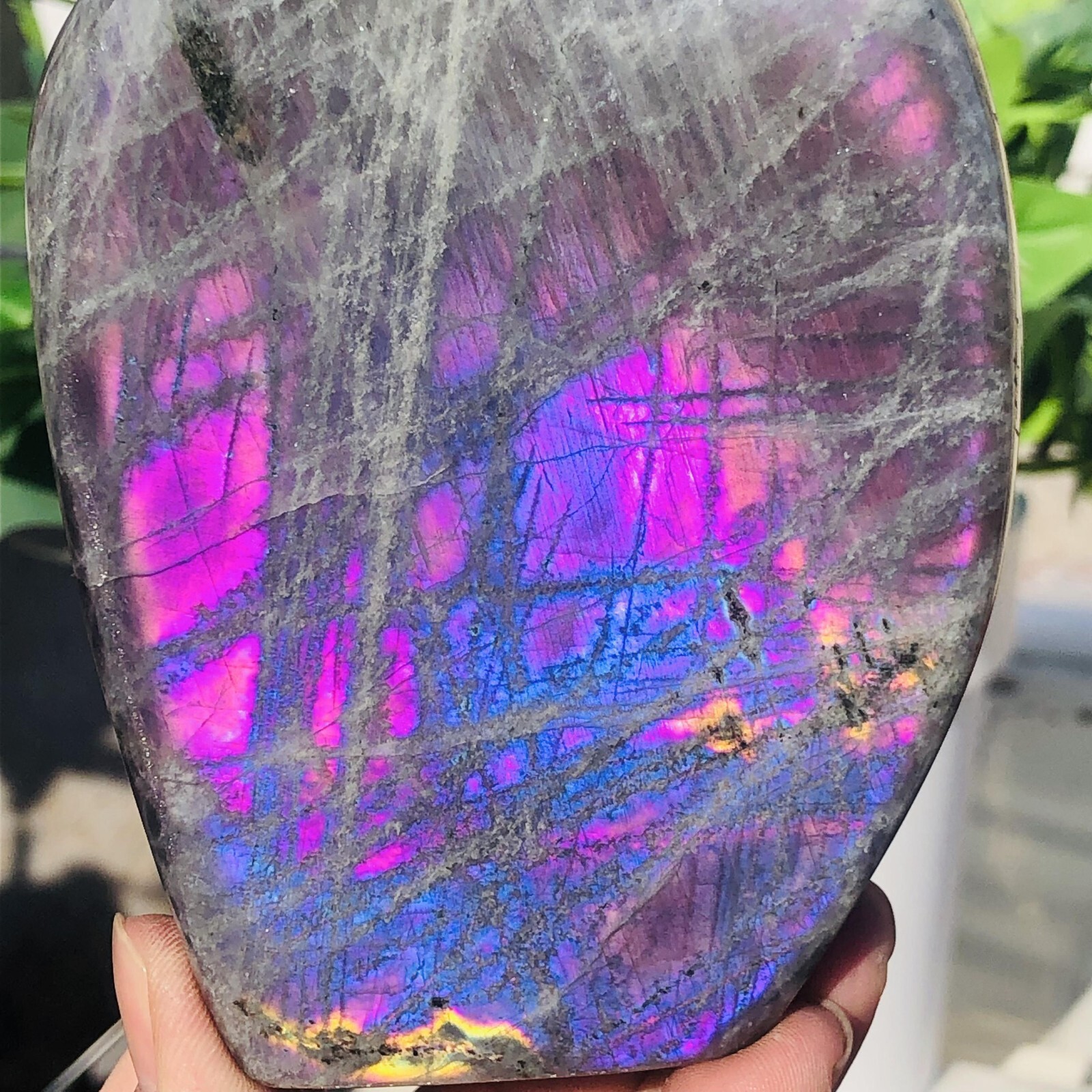 902g Natural Rare Purple Labradorite Quartz Crystal Mineral Specimen Healing