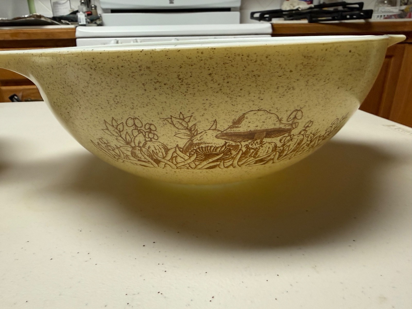 Vintage Pyrex Forest Fancies Mushroom  Cinderella Mixing Bowl Set (4 Pieces)