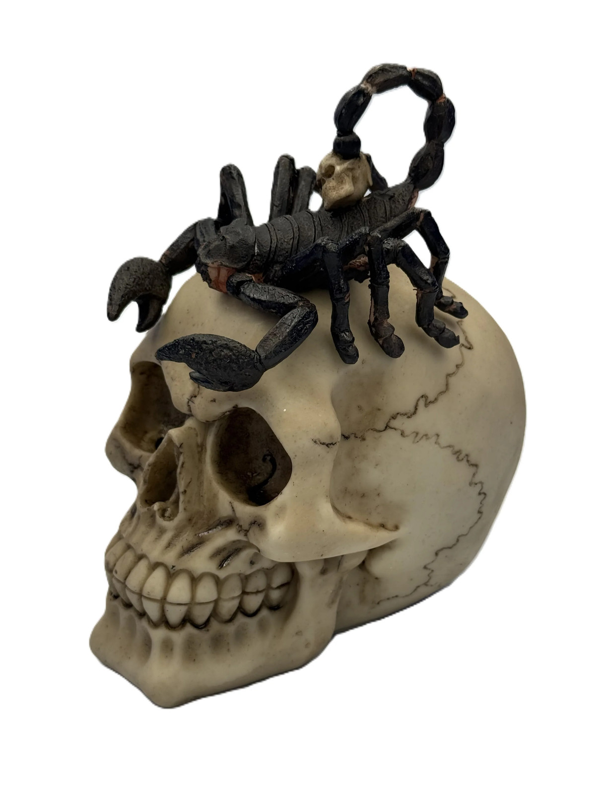 Scorpion Skull Statue – Gothic Skull with Scorpion Horror Figurine