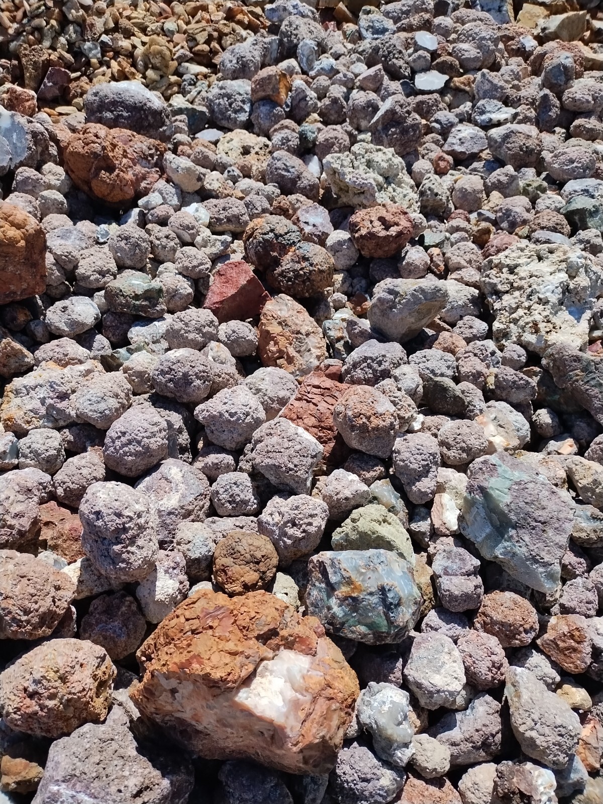 Thundereggs, Oregon, 4 Pound lot, As Found Uncut Rough, Agate