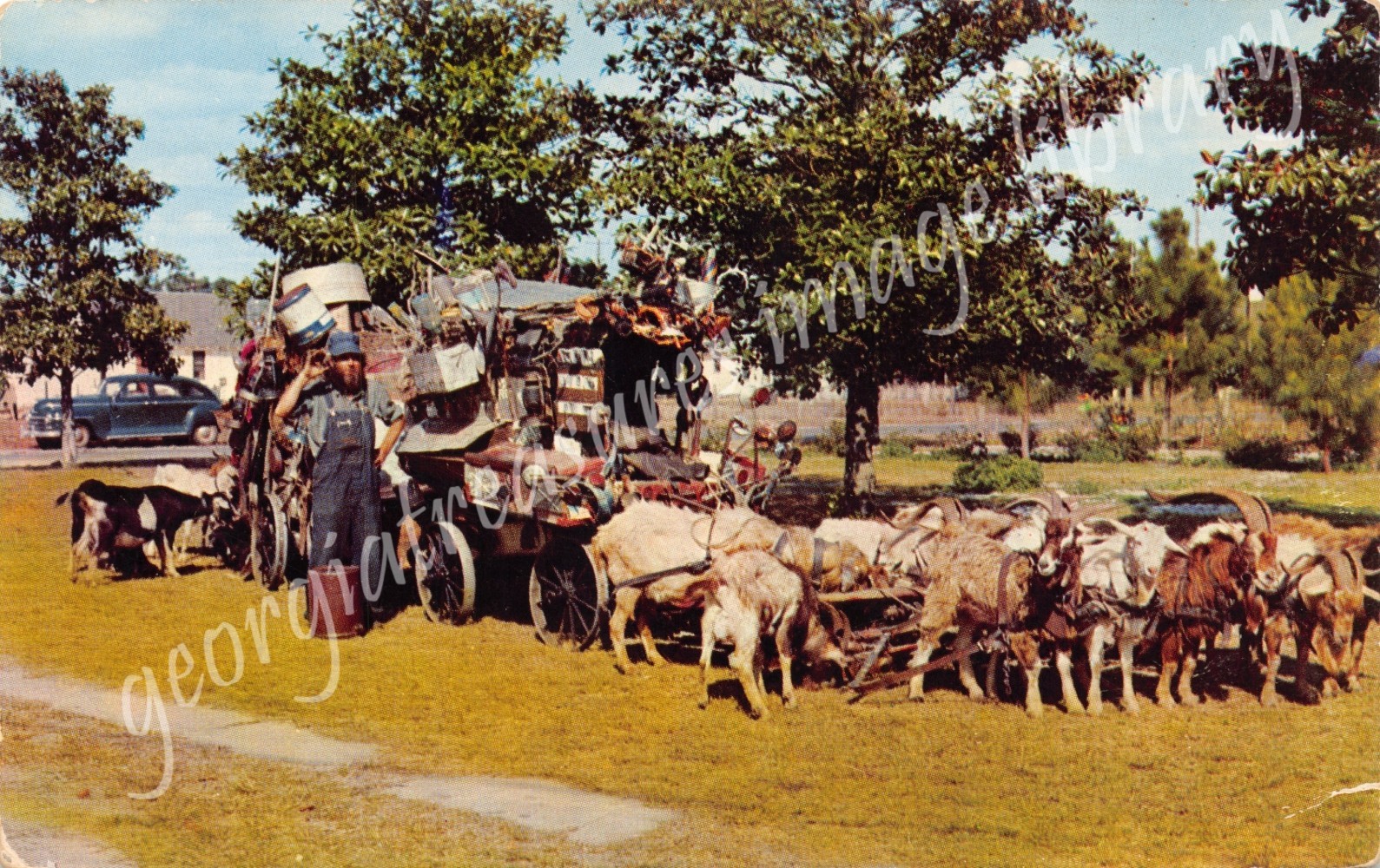GA~GEORGIA~JEFFERSONVILLE~GOAT MAN CHESS MCCARTNEY HAS TRAVELLED 80K MILES