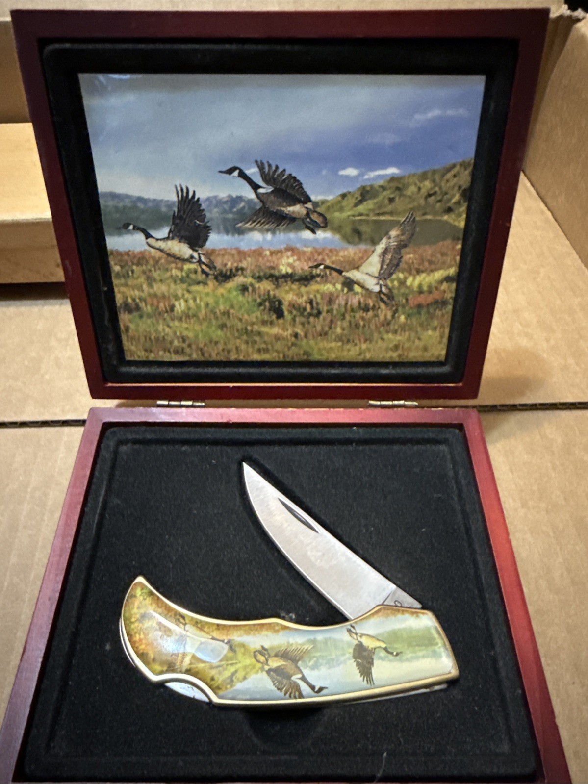 Collectible Unbranded Three Geese Flying In Collector Box New