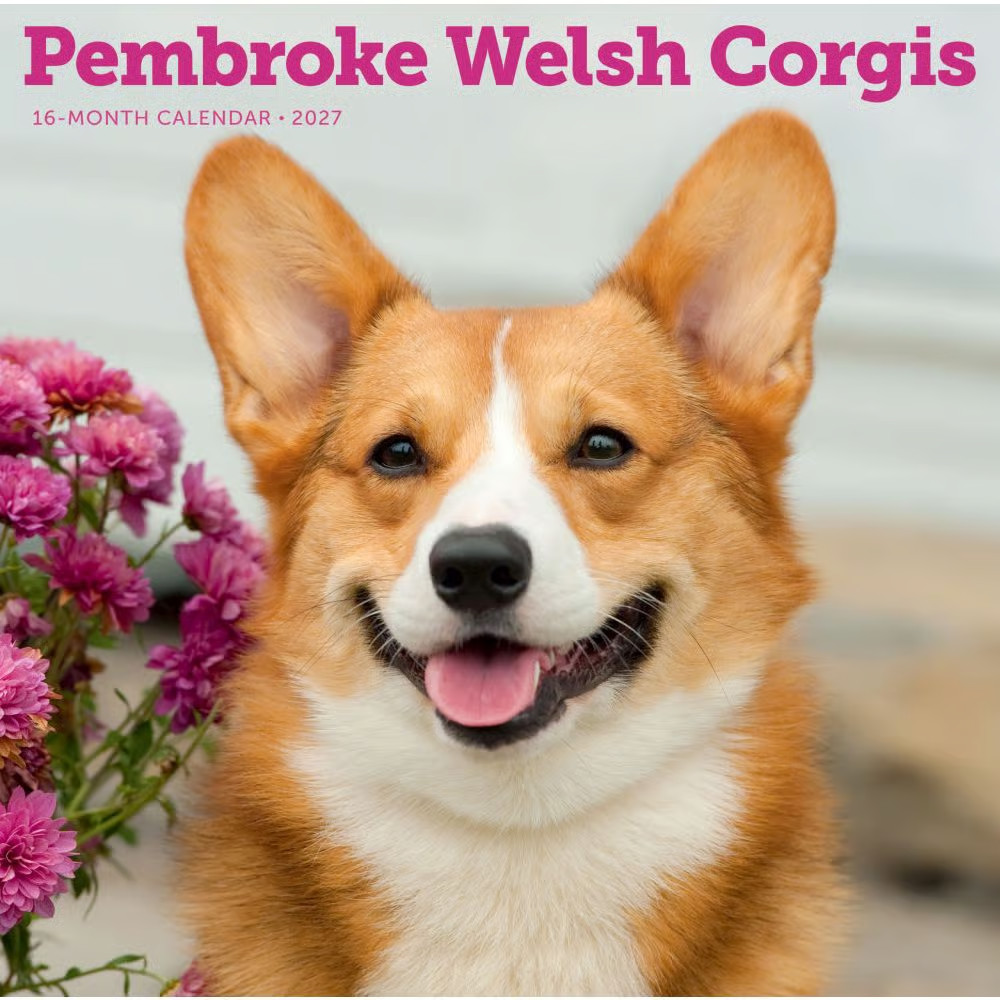 Carousel Calendars,  Pembroke Welsh Corgis 2027 Wall Calendar