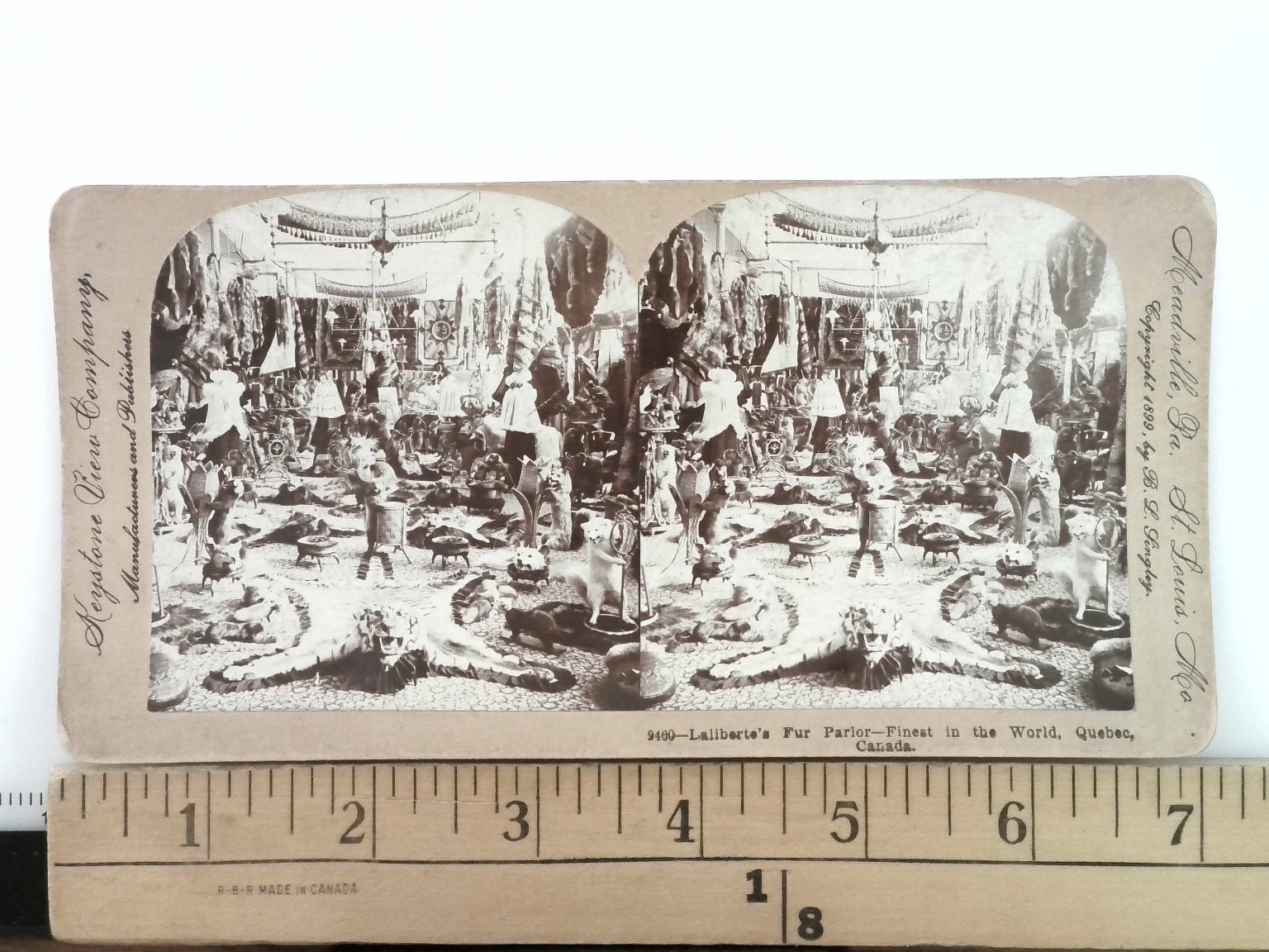 Laliberte\'s Fur Parlor Quebec Stereoview Keystone View Co. 1899 Canada History