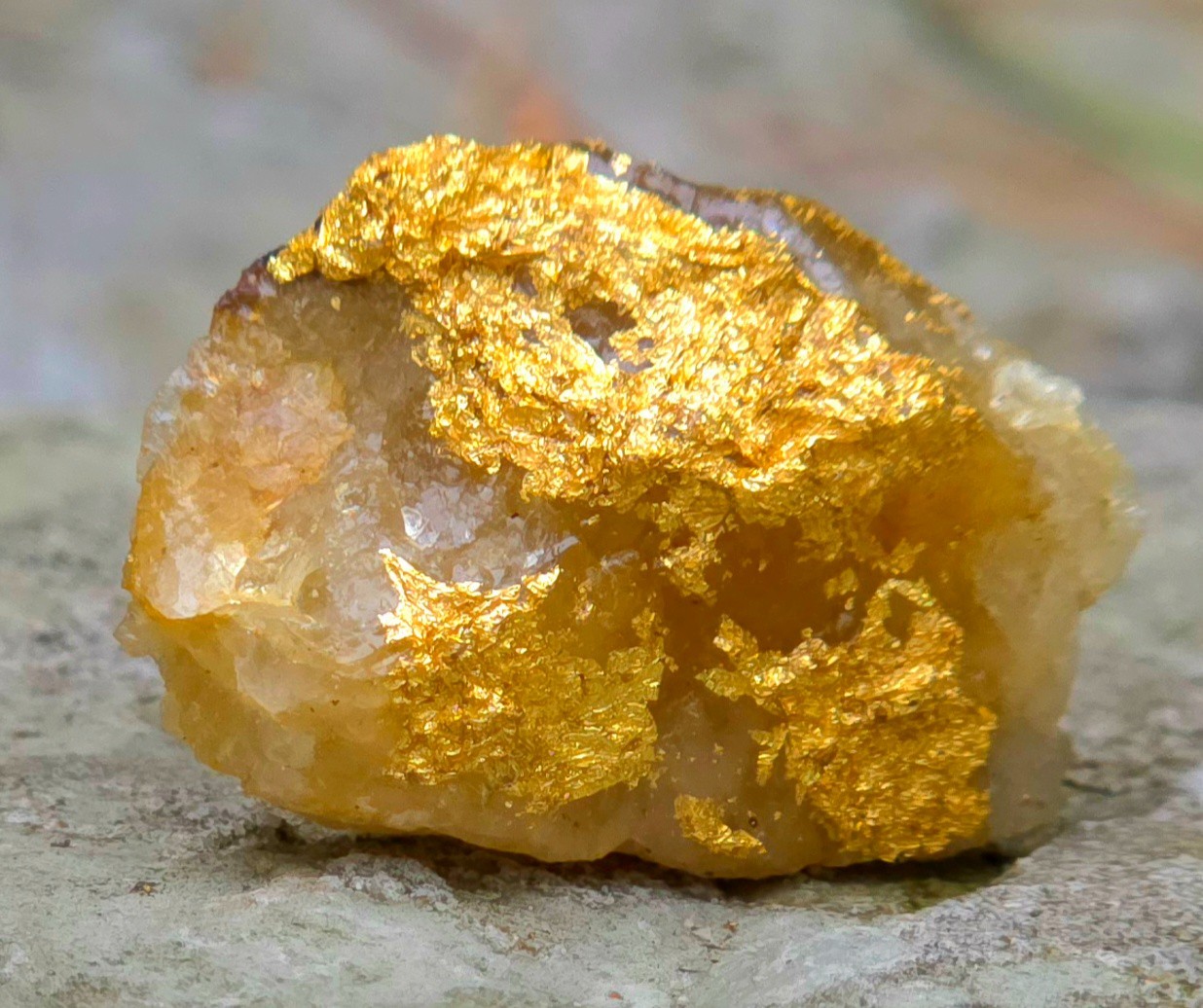 Gold Ore Specimen 5.43g Telluride Gold ☆TARRIFF PAID SHIPPING☆EXCEPTIONAL 