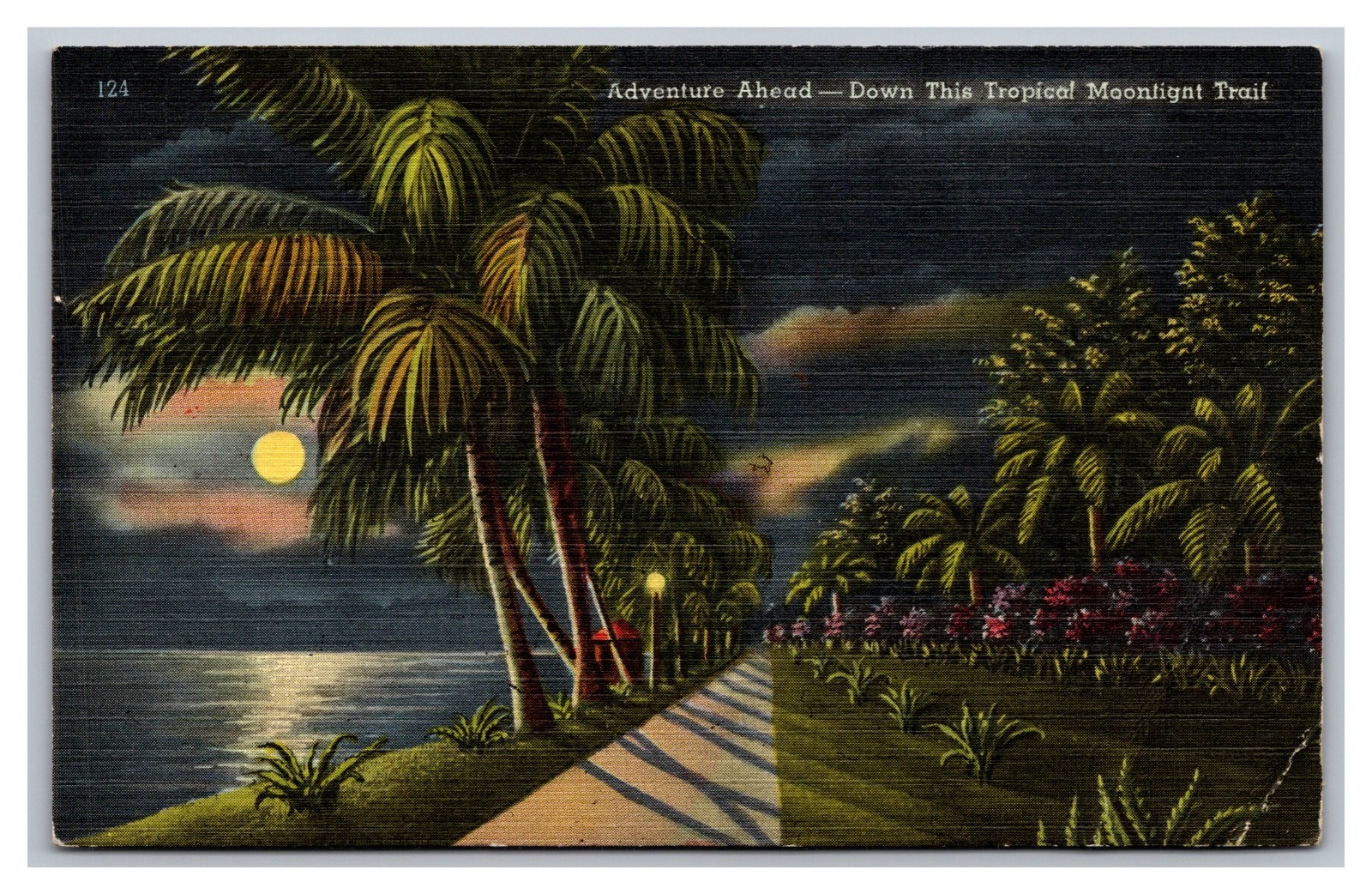 Florida Adventure Ahead Down Tropical Moonlight Trail Posted 1949 Linen Postcard