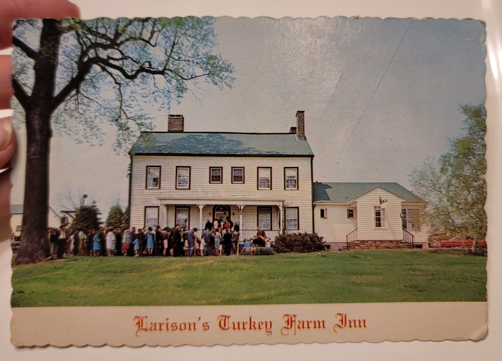 Chester New Jersey  Postcard Larison's Turkey Farm Inn RARE