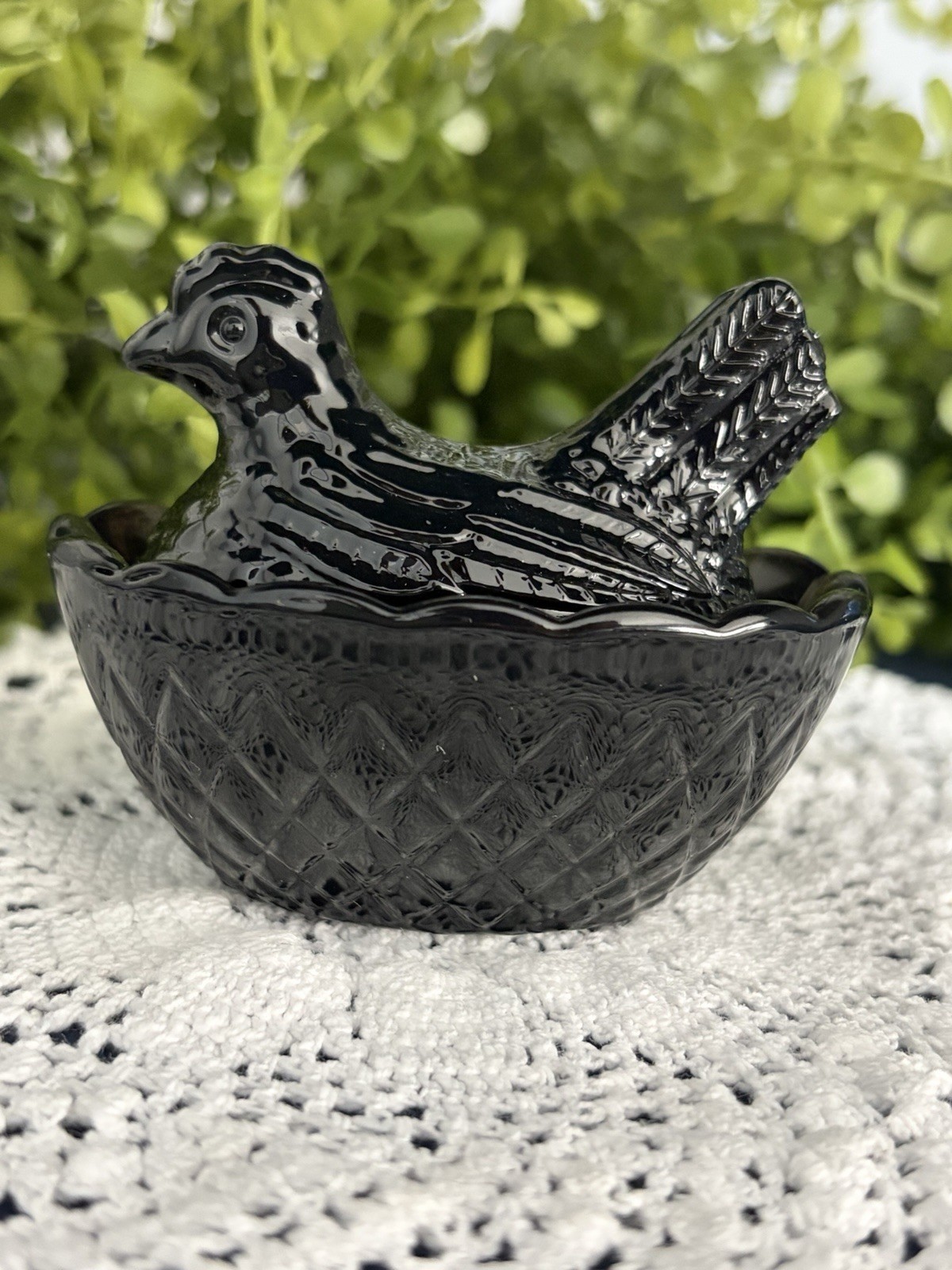 Lovely Mini Black Hen On Nest.
