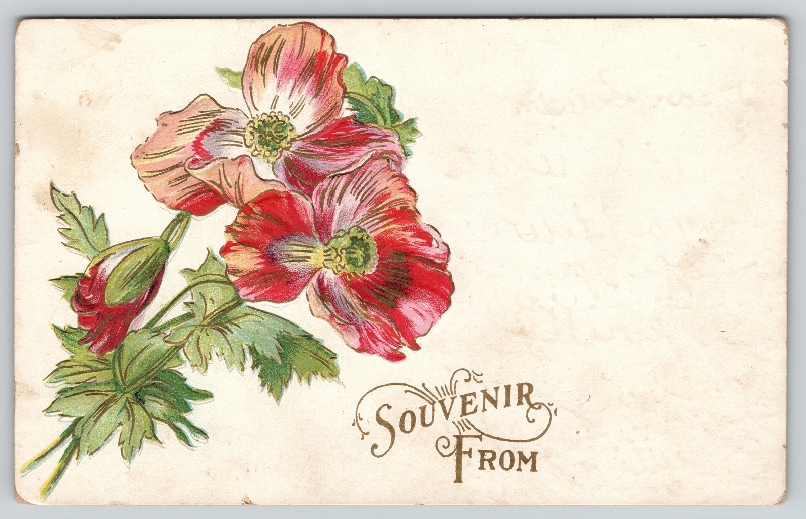 Souvenir From Red Floral Embossed Illustration Postcard