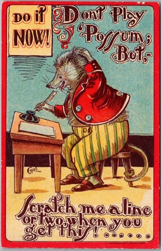 c1910s Artist-Signed CRITE Postcard BILLY POSSUM 
