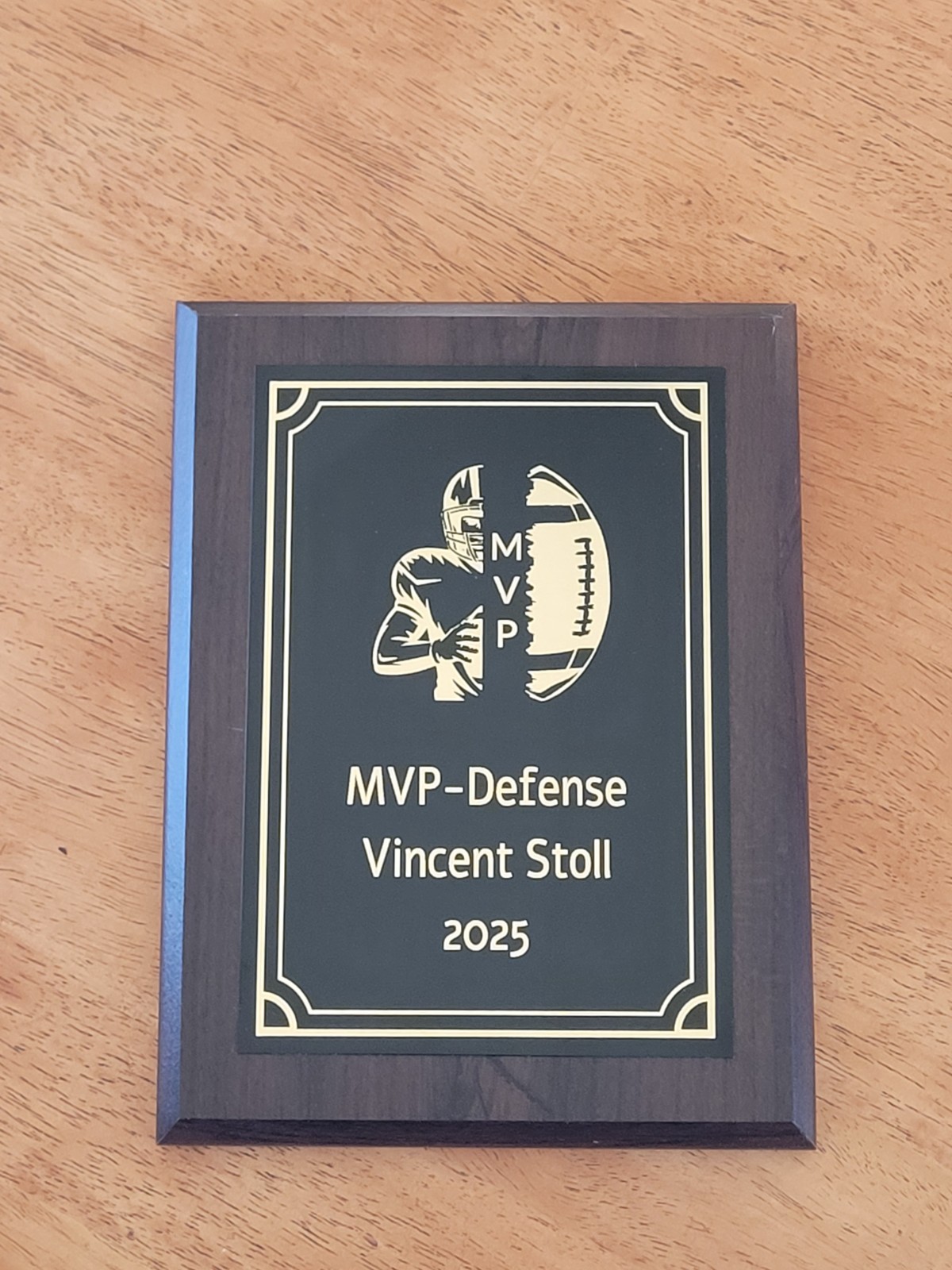 Football, MVP, Player of Year, Captain, Coach 6x8 Customized Plaque Trophy Award