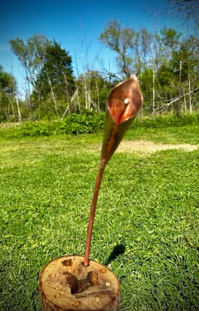 Handmade Copper 12” Calla Lilly   Add Some Lasting Beauty To Your Garden  ￼￼￼￼