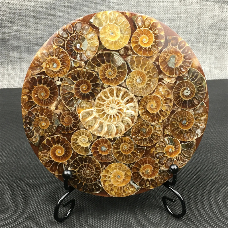Natural quartz Decor Healing Disk Quartz Healing Gem Random+Stand 1PC