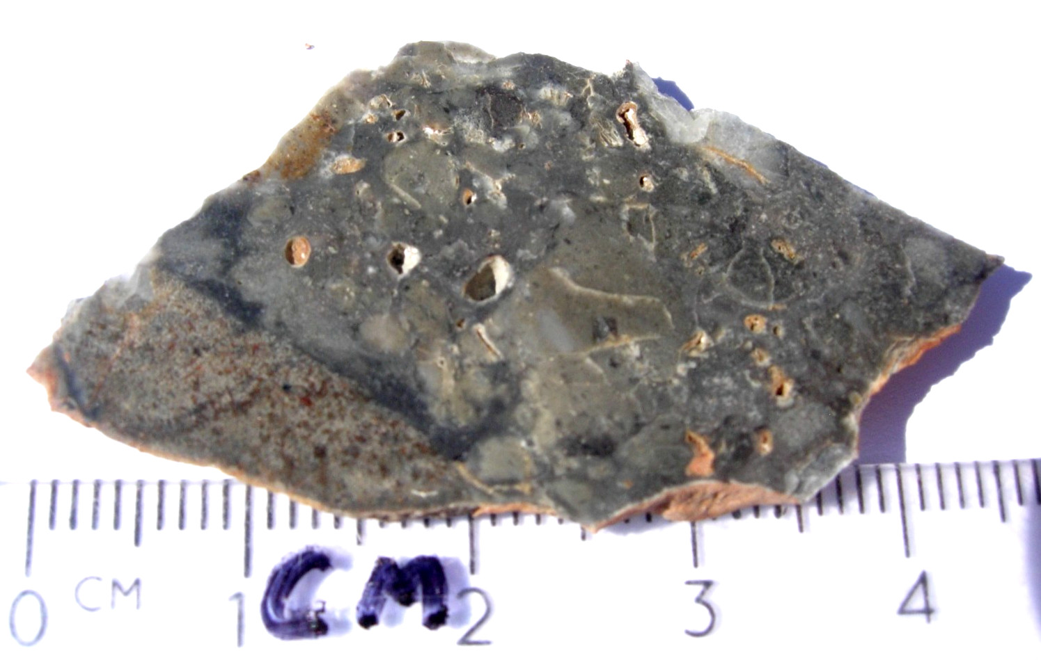 4.30 grams 45x22x2mm slice Adrar 013 Lunar Anorth. Norite Gabbro Meteorite COA