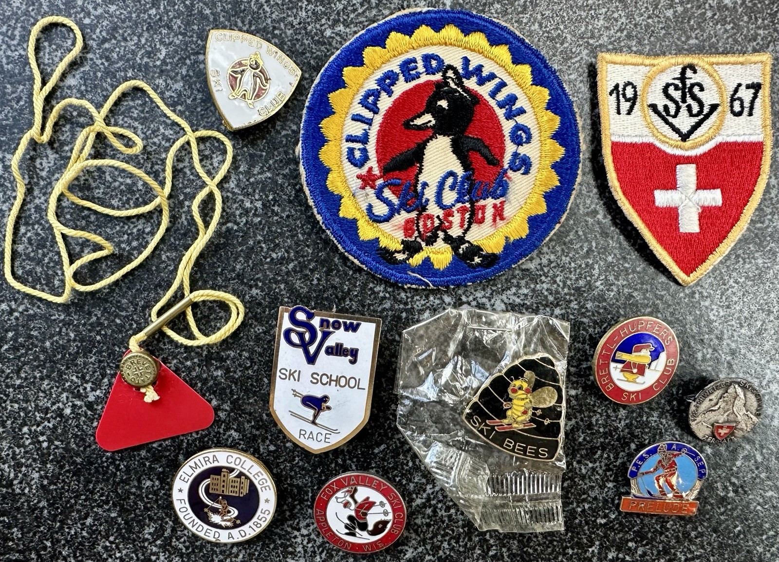 Lot SKI Pin CLUB Skiing SCHOOL Patch CLIPPED WINGS Zermatt FOX VALLEY Snow BEES