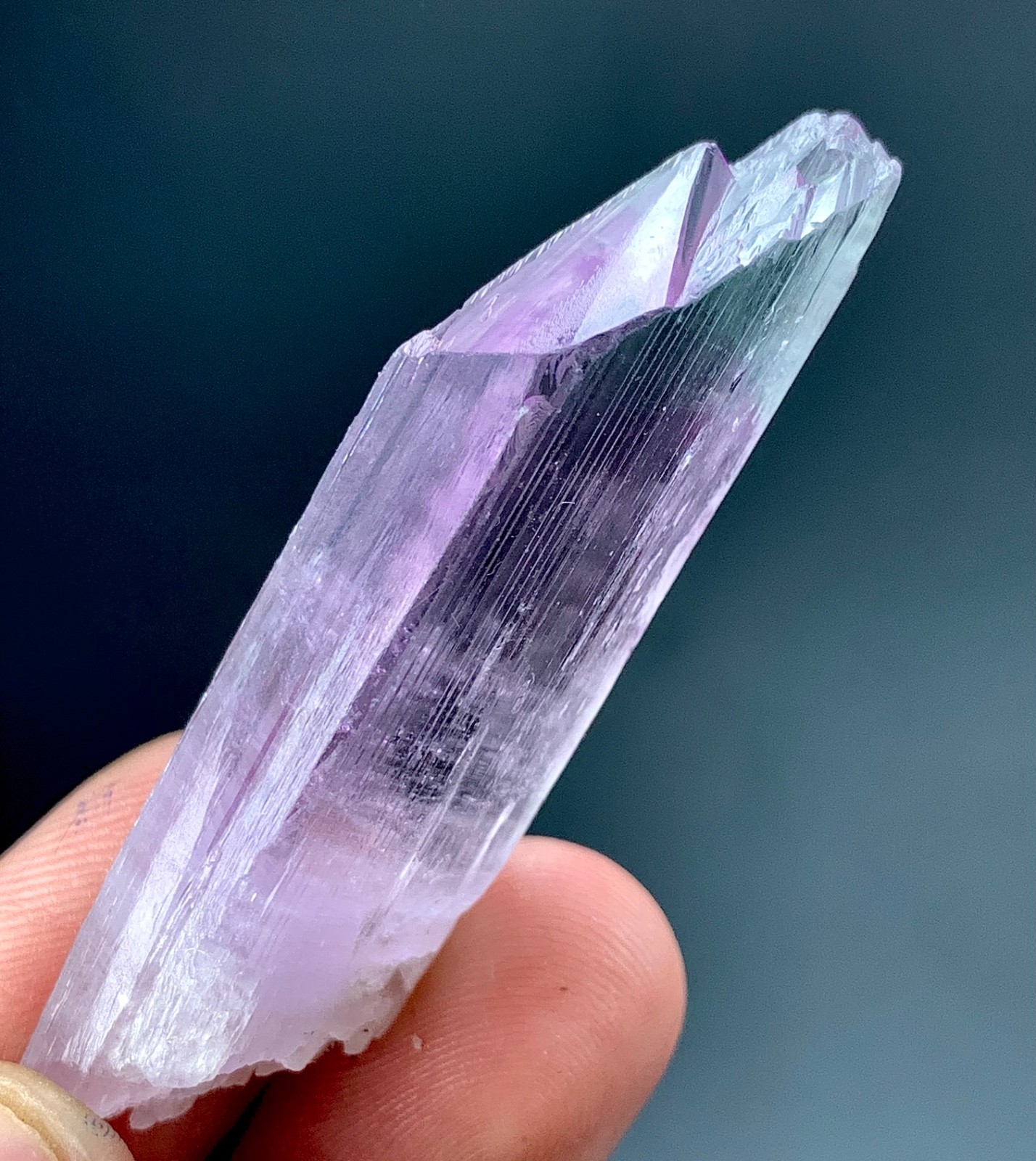 91 CTs Natural Bicolor  Kunzite Crystal specimen from Afghanistan
