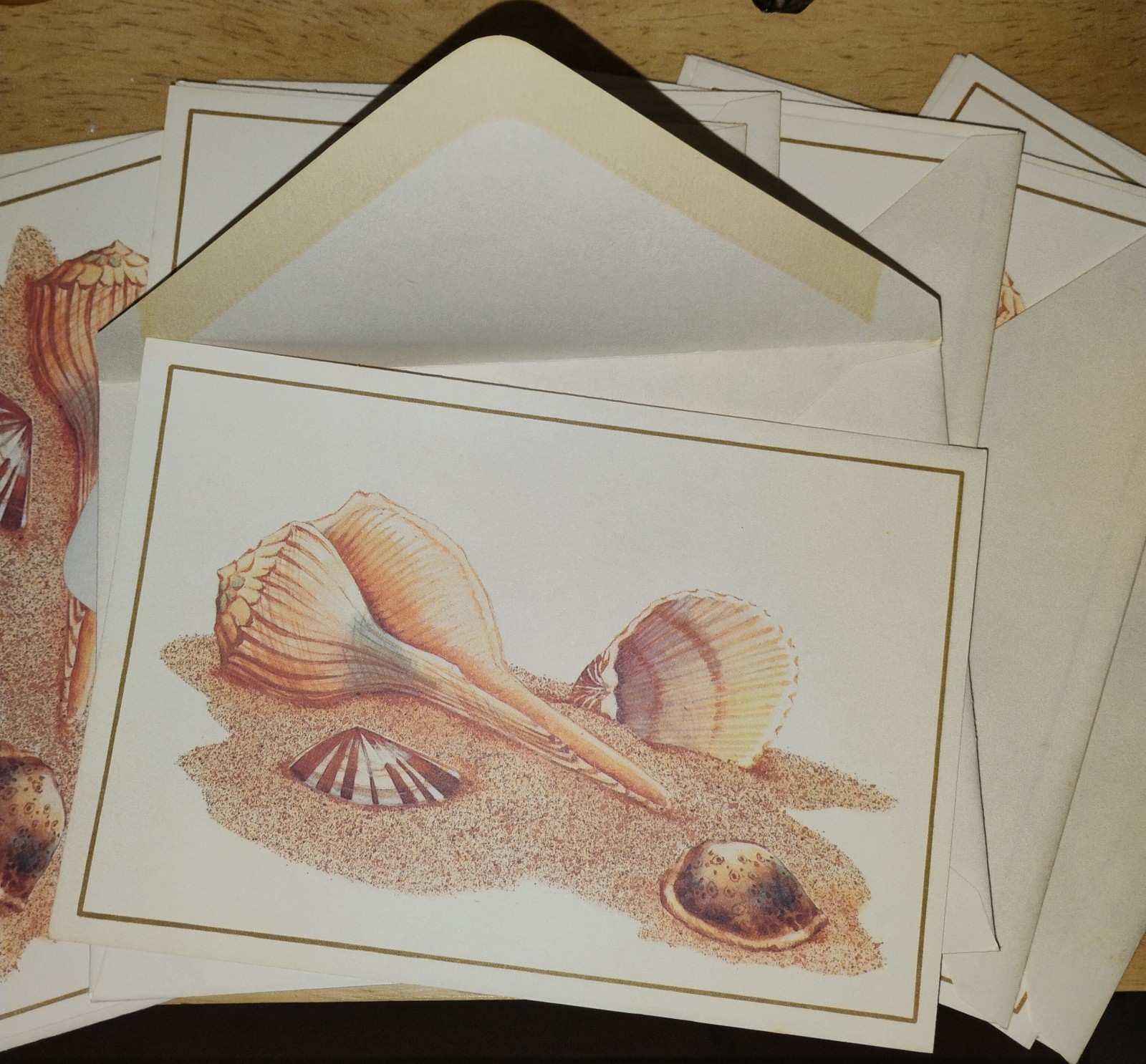 Vintage Set Of 8 Sangamon Blank Seashell Beach Theme Blank Notecards +Envelopes