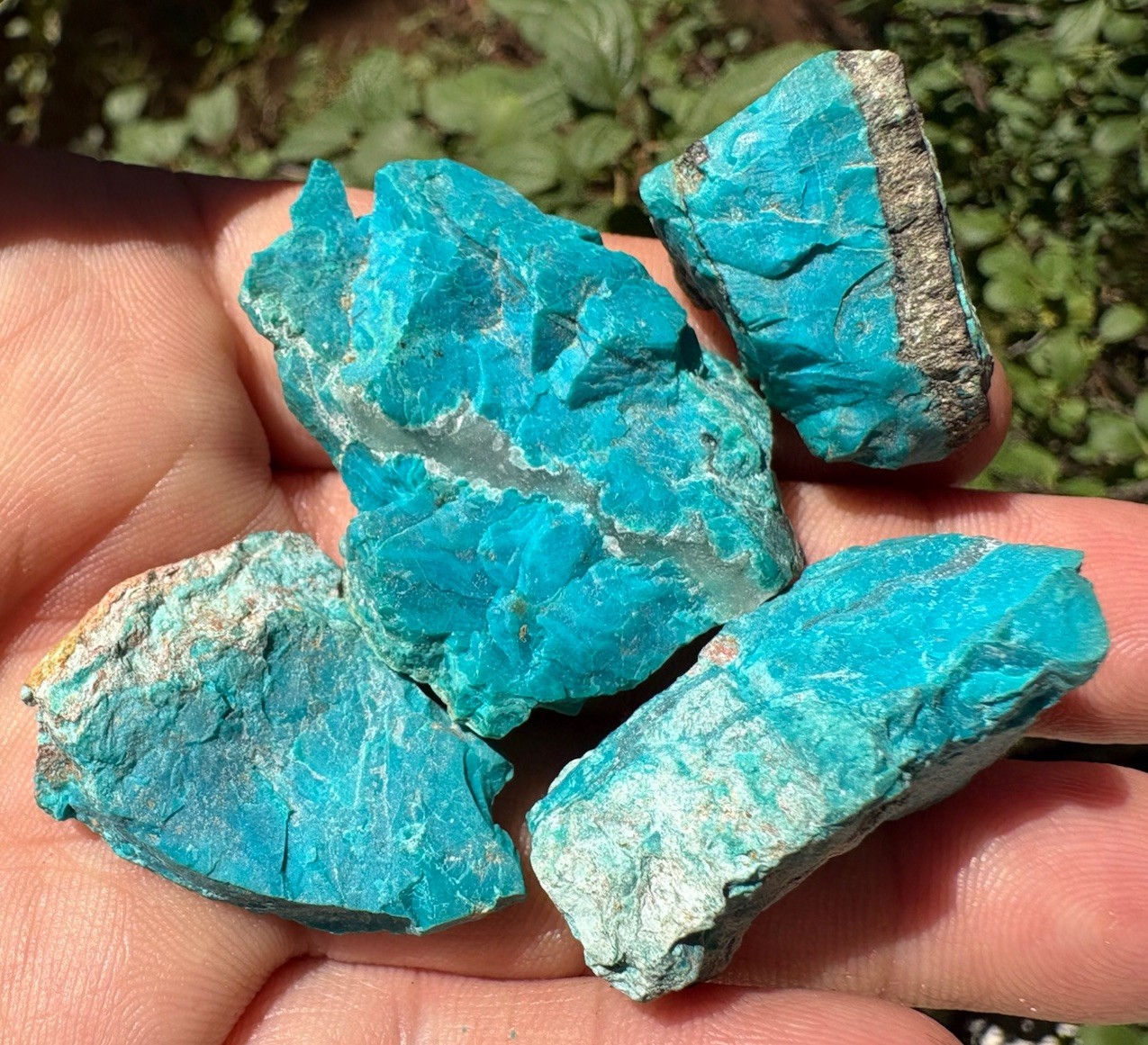 ☘️RR⛏️: Excellent Old Stock Chrysocolla Lot, Inspiration Mine, Miami Az. 🌵