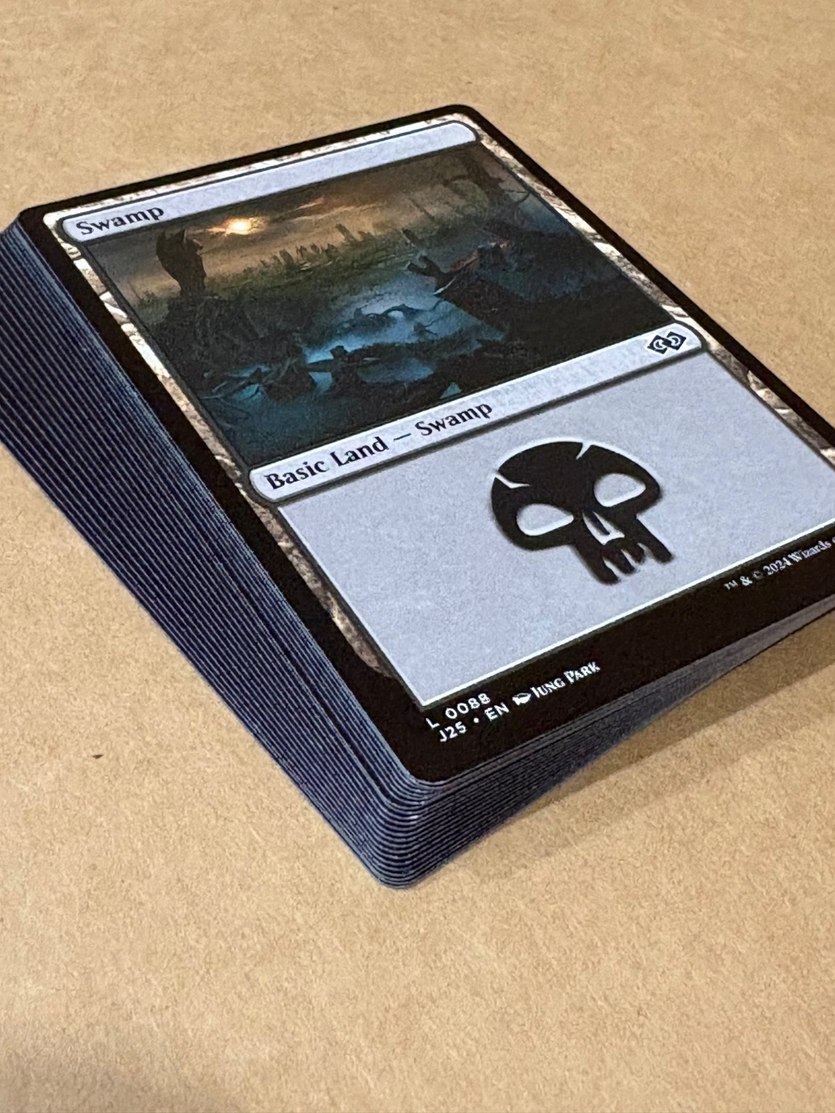 SWAMPS 24 NM MTG Swamps Basic Lands 2025 Magic the Gathering