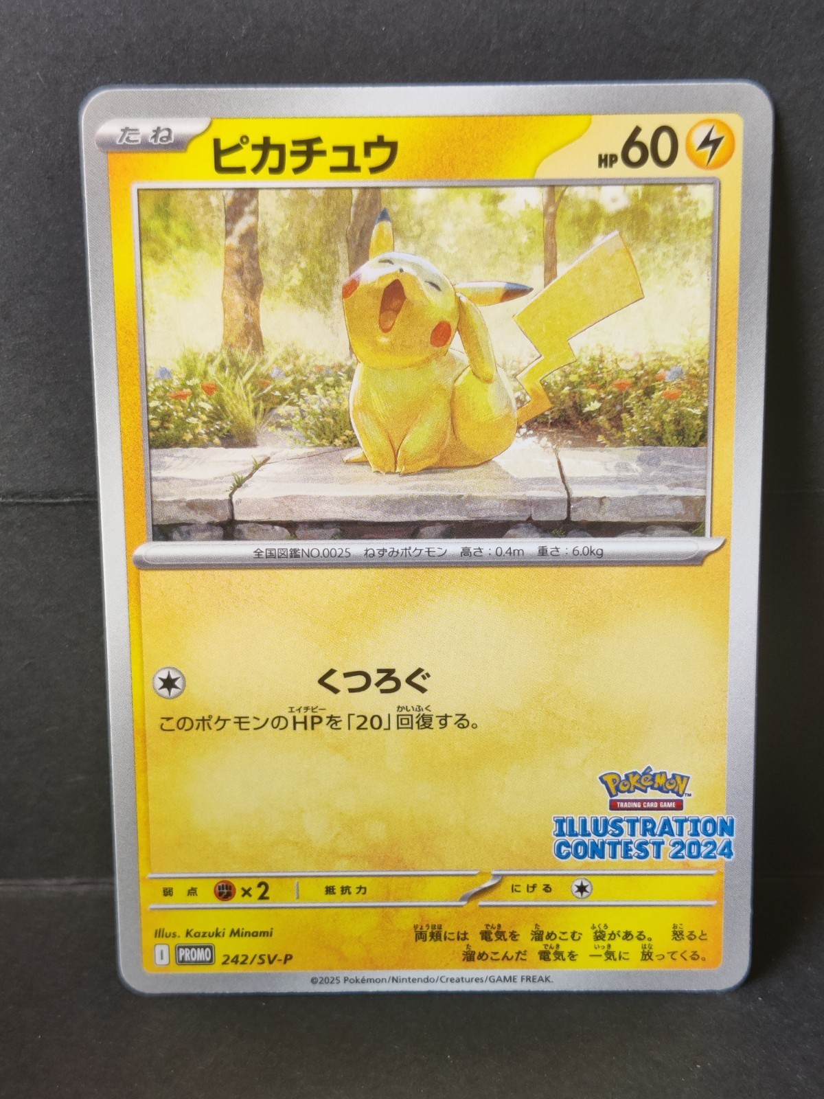 Pokemon TCG Pikachu 242/SV-P Promo Illustration Contest 2024 JP 