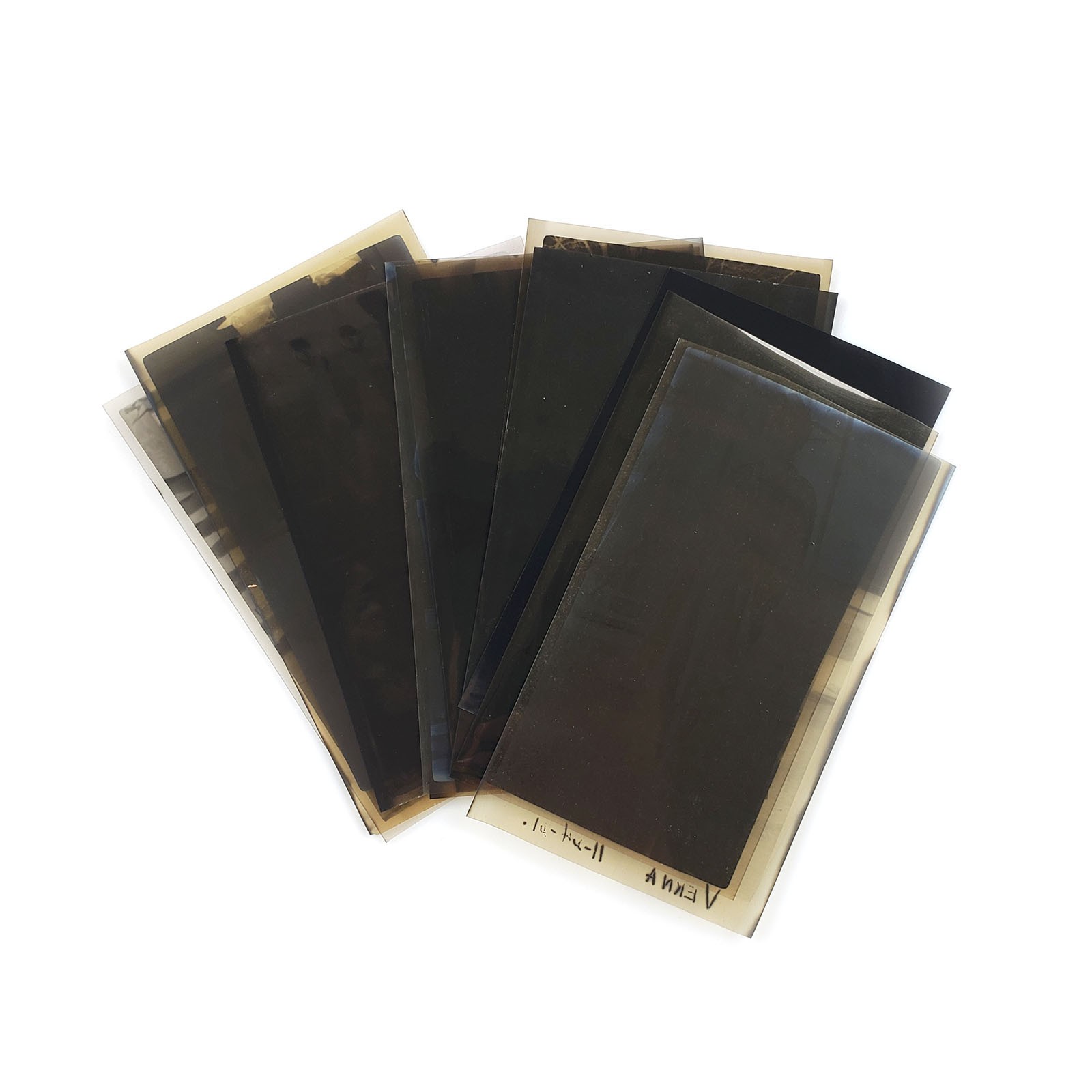 10 Vintage 70mm Film Negatives Lot - Black & White 6.5x11 Medium Format 116/616