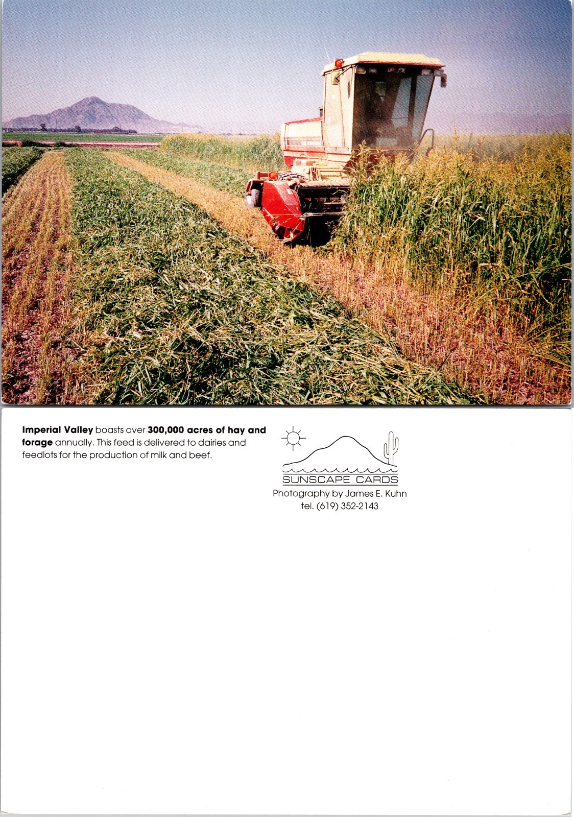 Continental Imperial Valley Hay Harvest Postcard