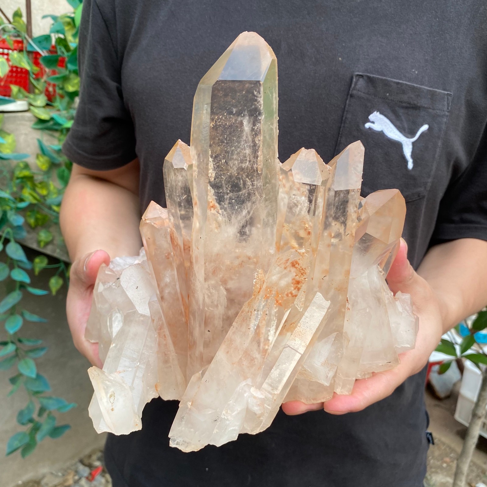10.3lb Natural Clear White Quartz Crystal Cluster Rough Healing Specimen
