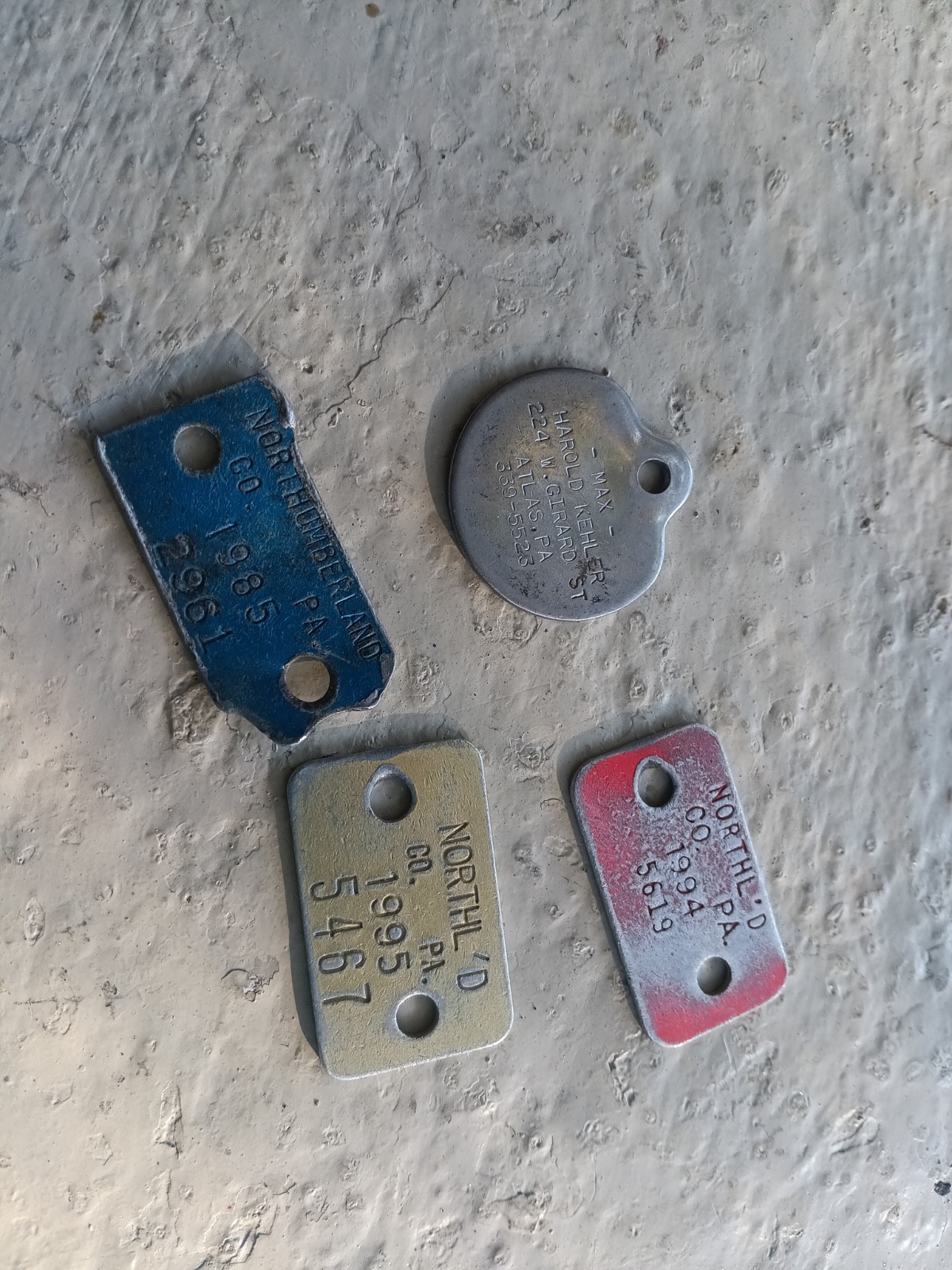 VINTAGE 1985 & 1995 NORTHUMBERLAND COUNTY DOG TAGS ATLAS PA DOG TAG
