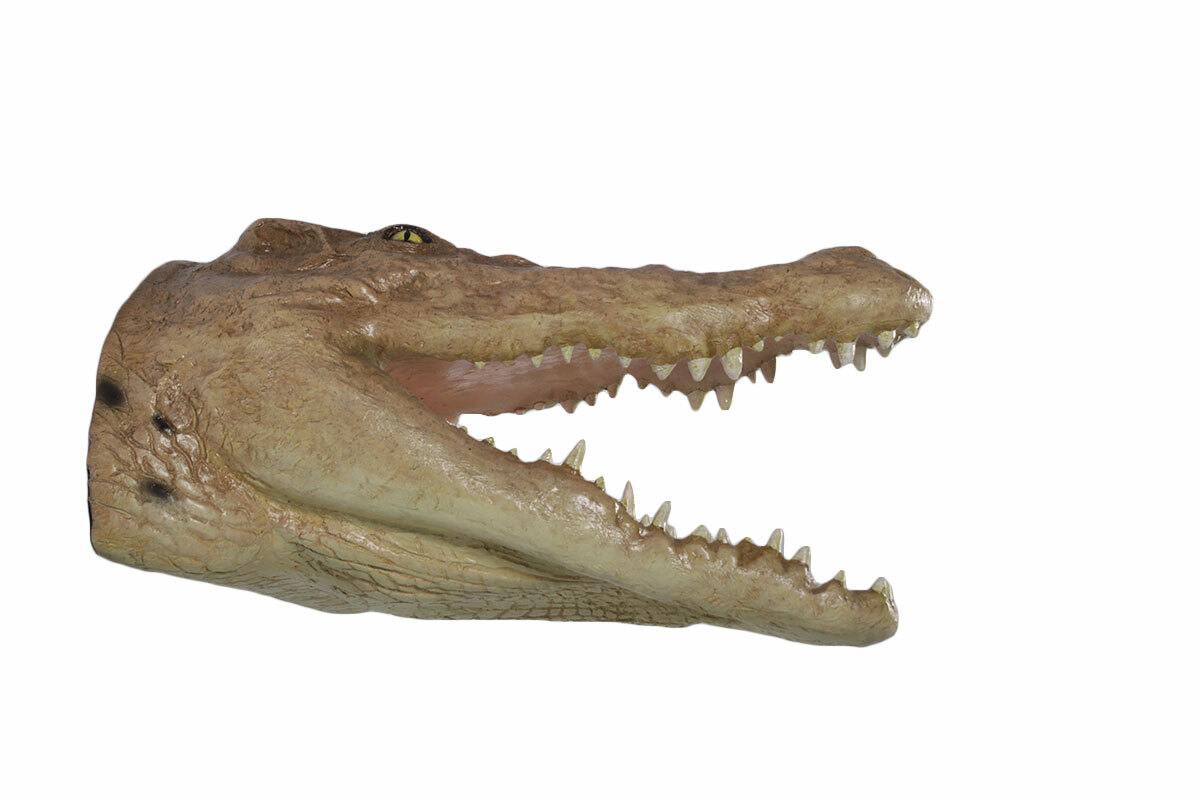 Crocodile Head Large Trophy Wall Sculpture Decor Man Cave Accent Piece  