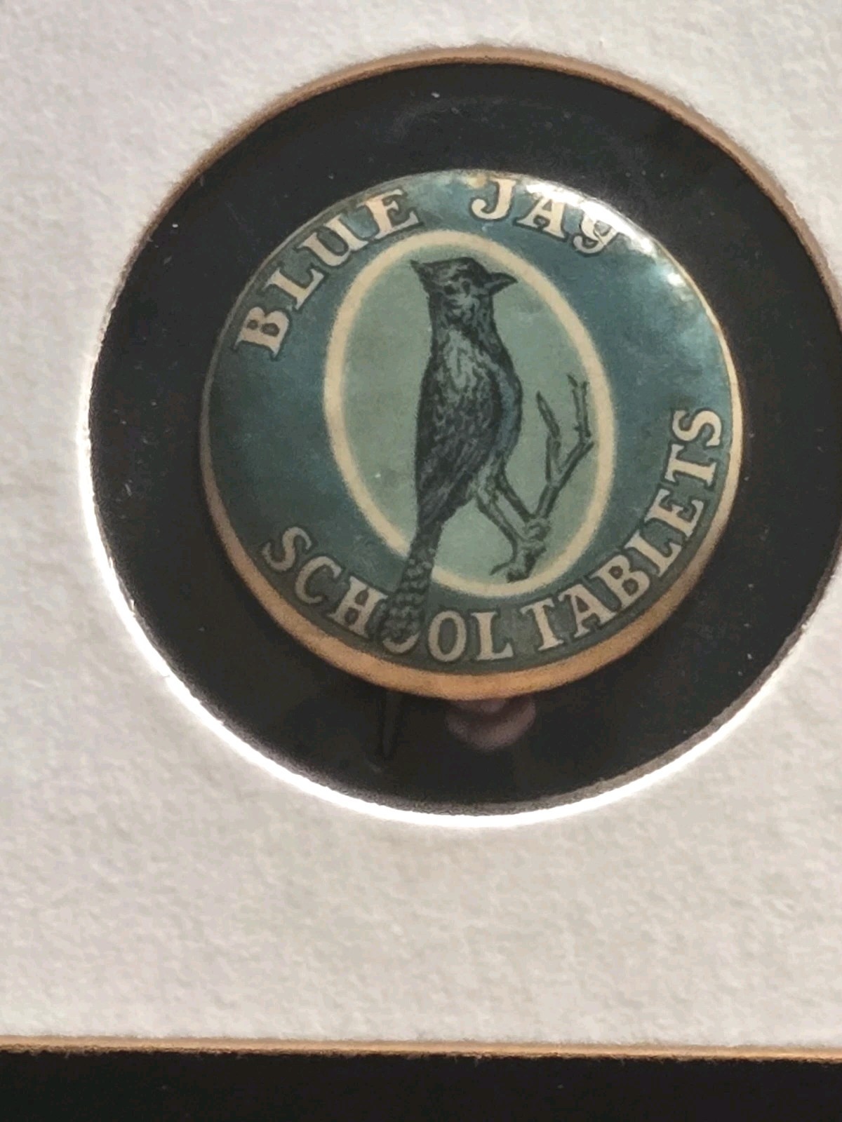 Rare Antique Early Pinback Button BLUE JAY SCHOOL TABLETS Blue Jay Bird 