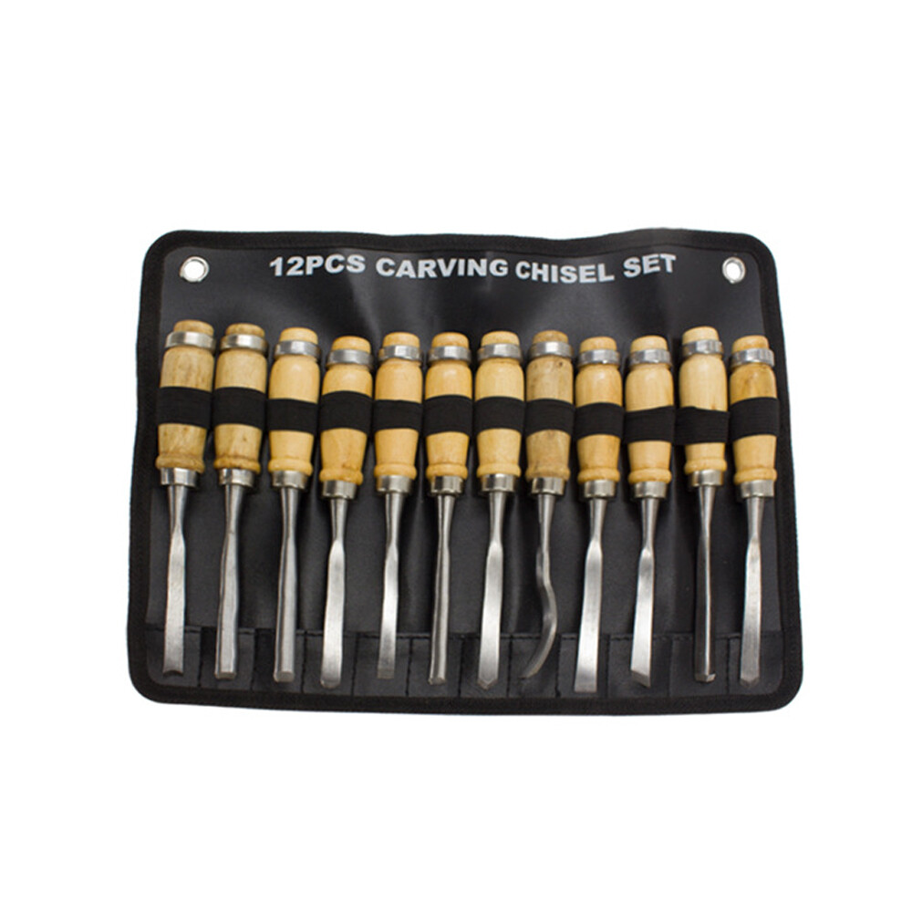 Wood Carving Hand Chisel Tool Professional Woodworking Gouges Steel 12 PCS C9R3