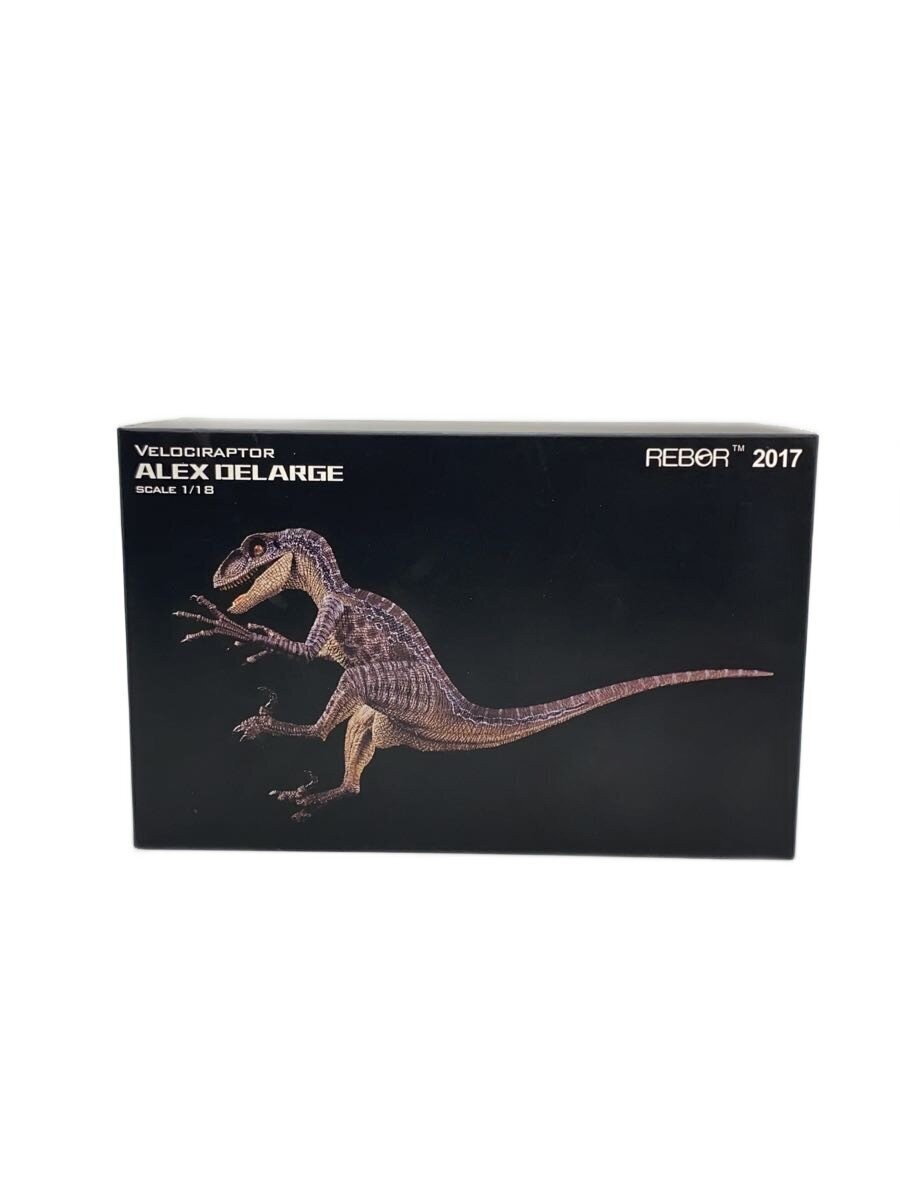 REBOR Figure