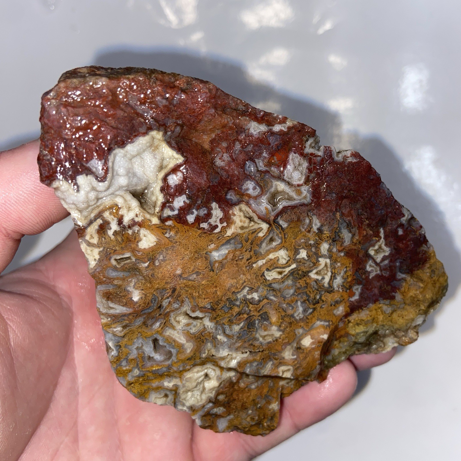 Electrifying Vibrant Mexican Moss Agate Large Rough 1 Pound 5.36 Oz