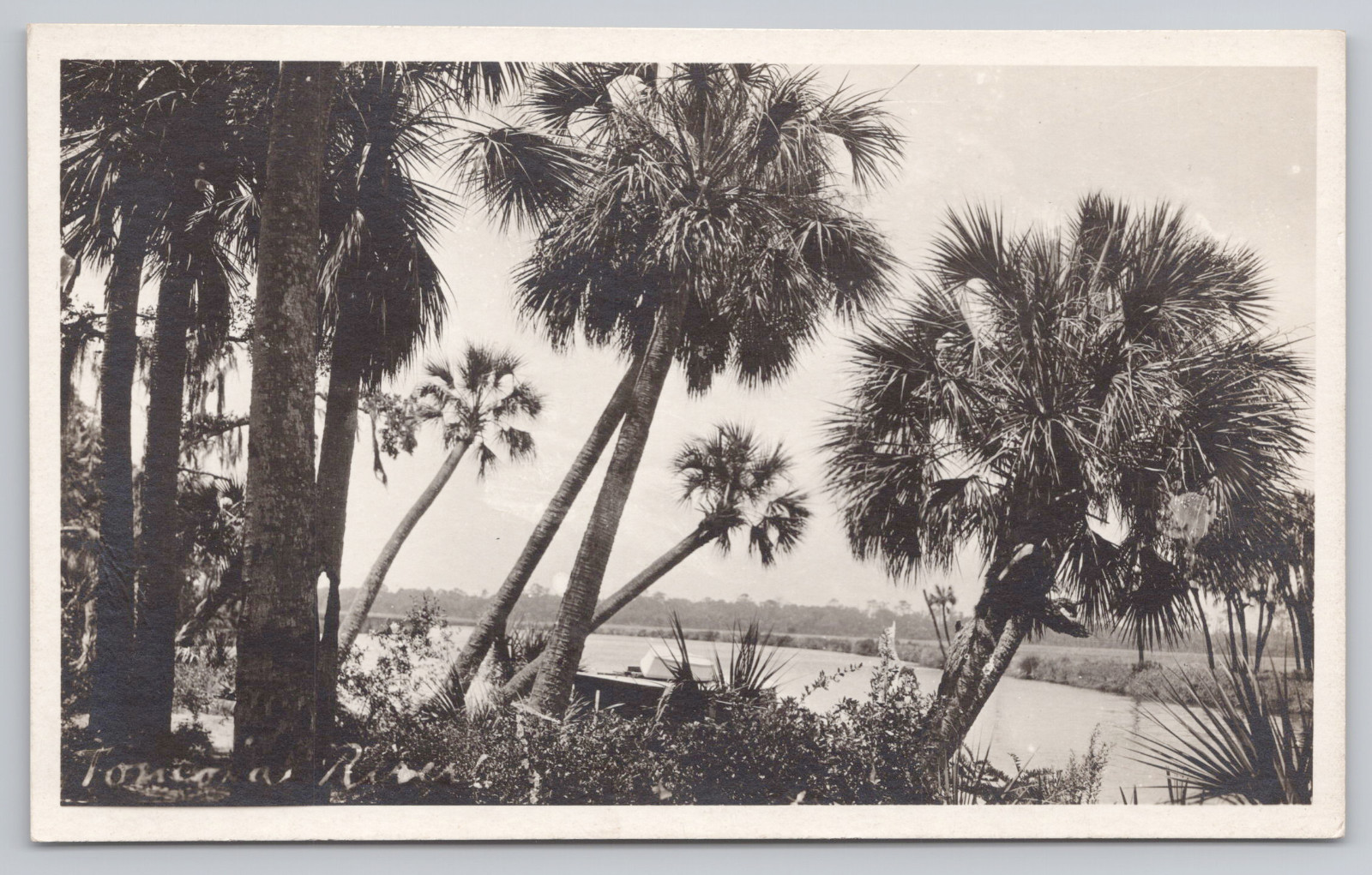 Postcard RPPC of a River from the Shoreline