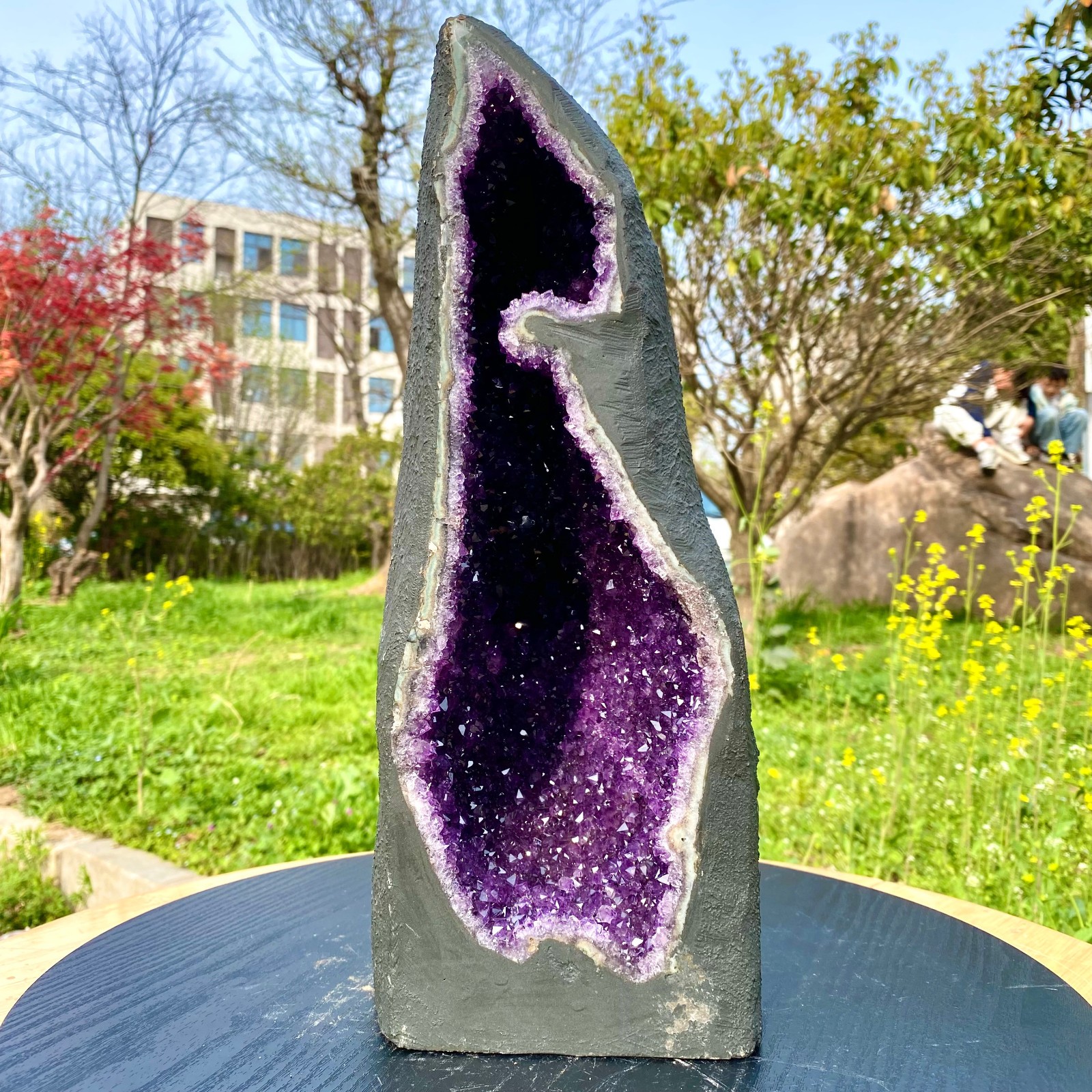 18.25LB Large Natural Amethyst Geode Cathedral Crystal Cluster Specimen Energy H