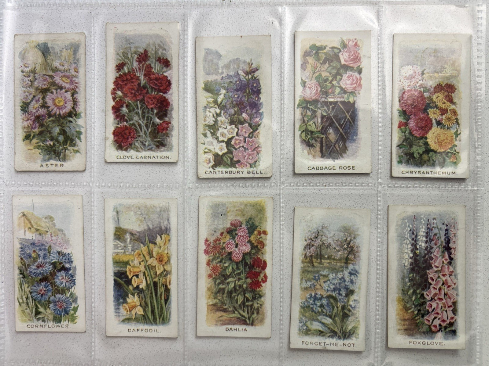 Abdulla Cigarette Cards 1936 Old Favourites Complete Set 25 in Sleeves