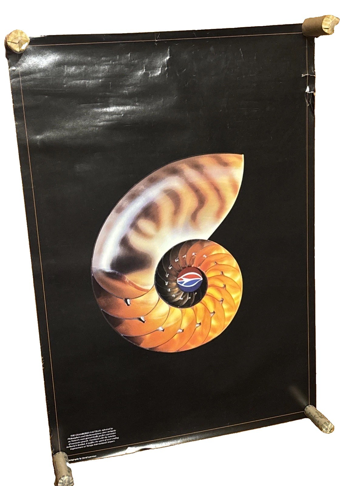 Vintage 1970s Tampa International Airport Poster David Lawrence Nautilus TPA Art