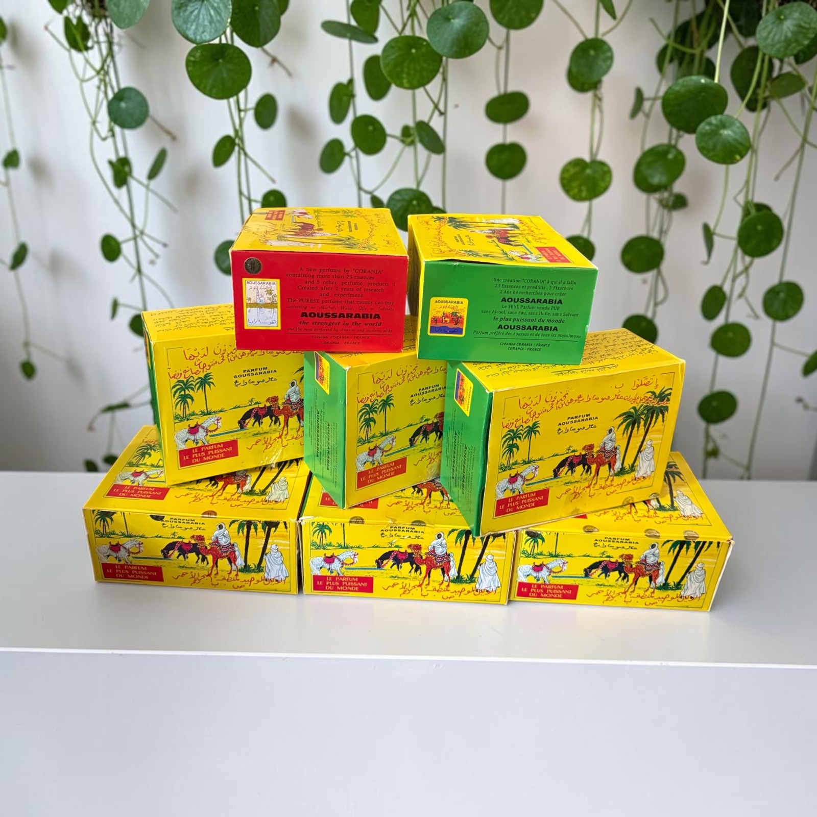 AOUSSARABIA Perfume Oil. Case of 8 dozen(96 Bottles). Pre-order. Available 10/14