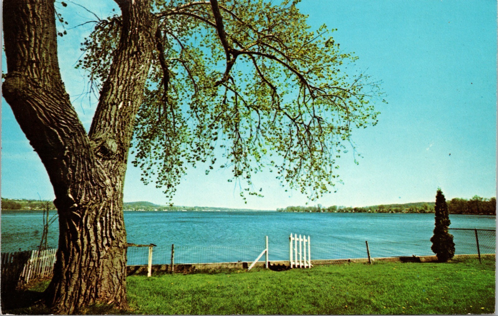 View of Beautiful Hemlock Lake Hemlock New York Vintage Postcard