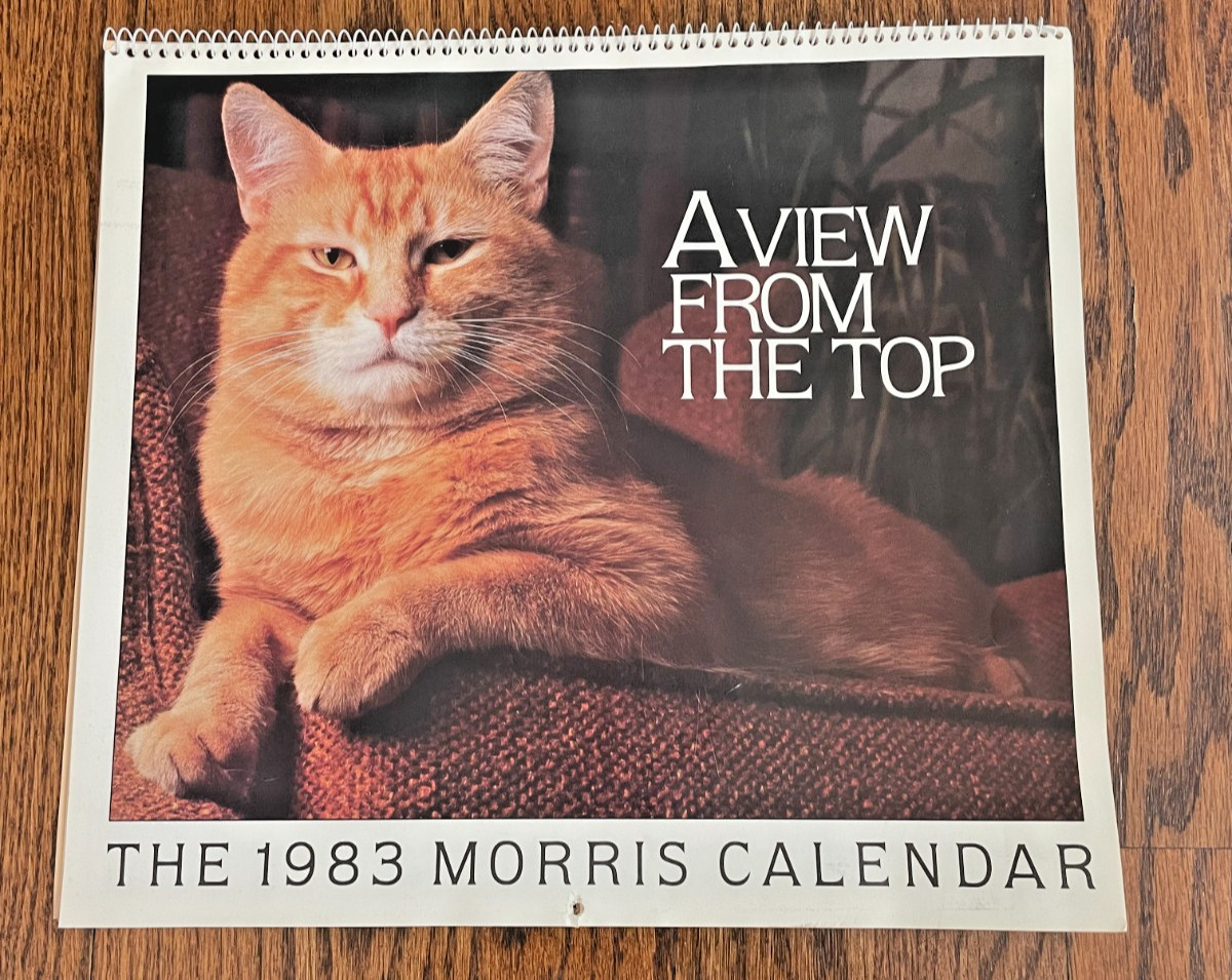 VINTAGE Morris the Cat 1983 Calendar A View from the Top 9 lives USA unused