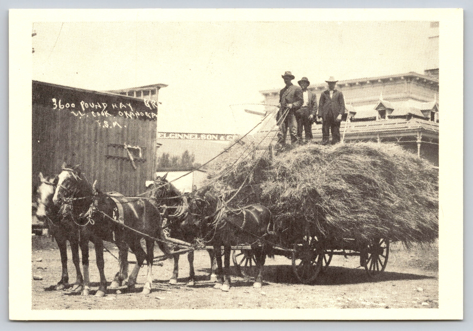 Postcard Washington Okanagan Frank S Matsura Hay Historical Society REPRINT